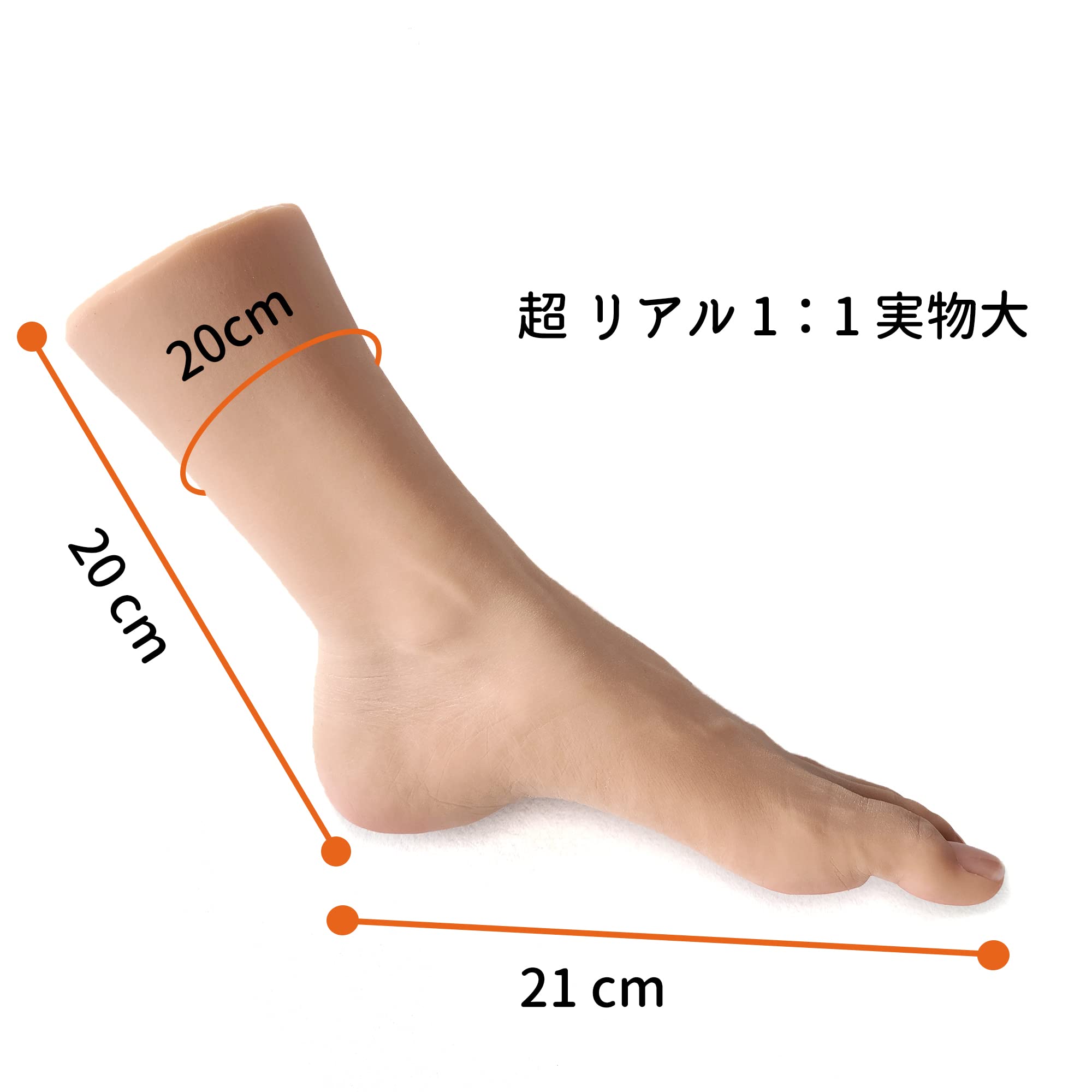 Amazon | 足 模型 シリコン リアル 足 マネキン 女性 両足