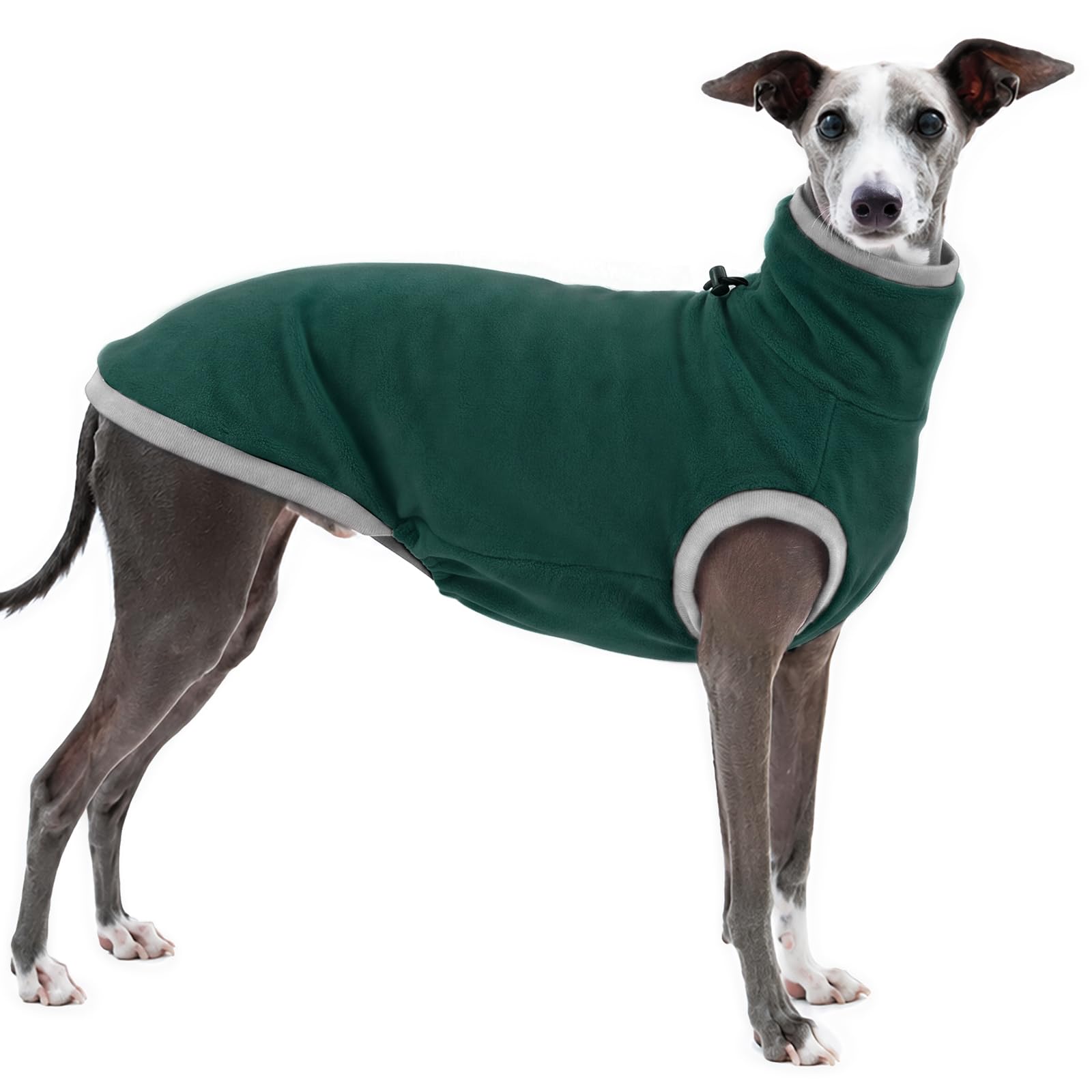 Greyhound Jacket, Greyhound Turtleneck Jumper(Green, XL)