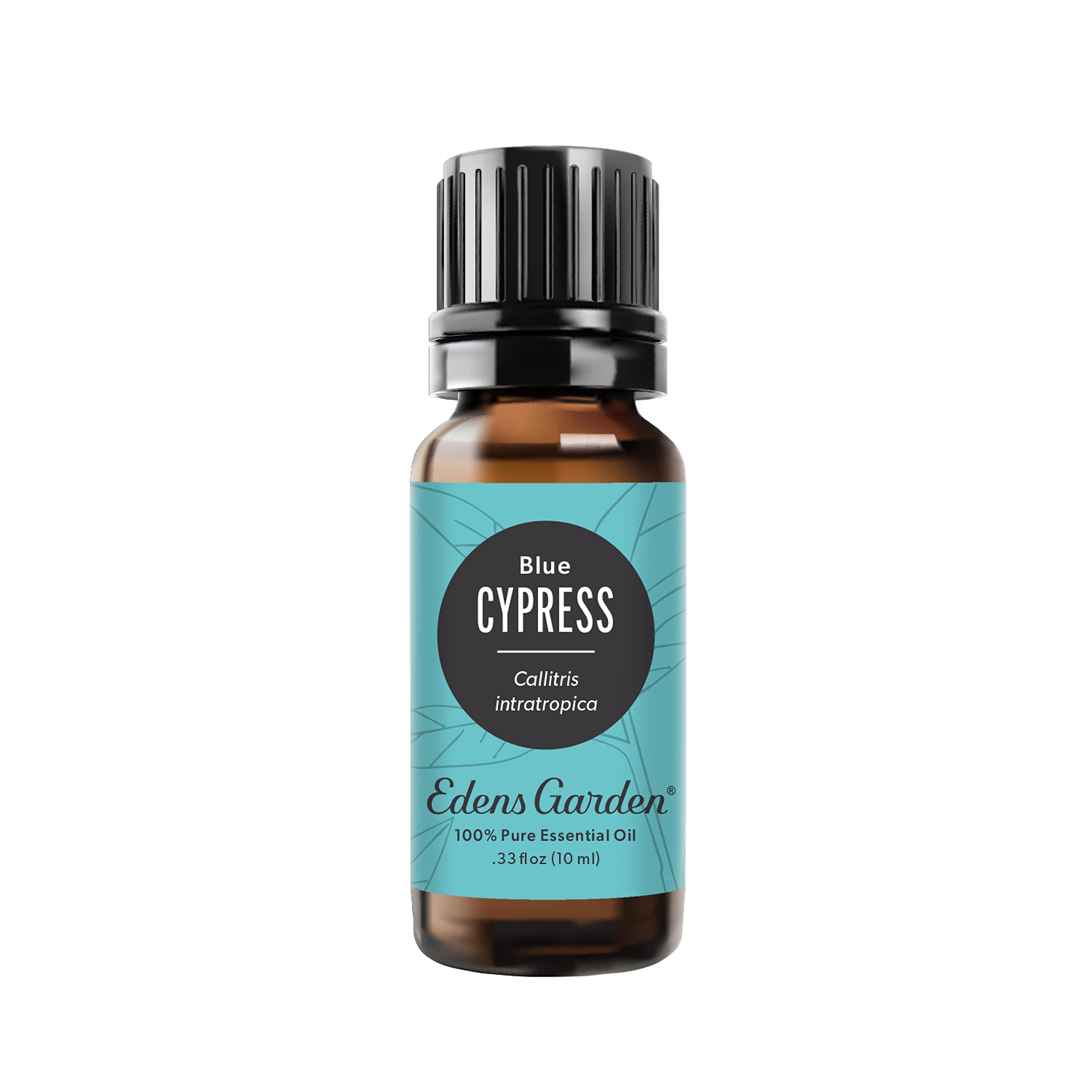 Edens Garden Cypress- Blue Essential Oil- 100% Pure Premium Grade, Undiluted, Natural, Therapeutic, Aromatherapy, The Best for Diffuser, Skin, Candle,