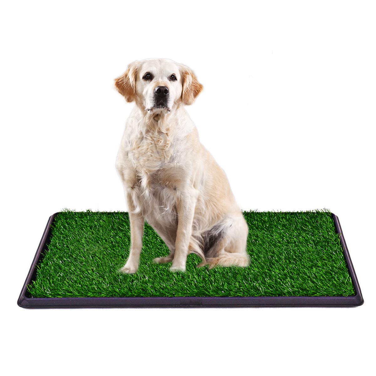 DELMANGO Dog Potty Trainer The Indoor Restroom for Pets with Artificial Grass 20X30in XL Puppy Potty - 3 Layered System Pan Tray Indoor Use Easy to Clean.