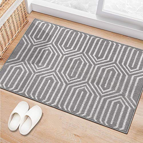 Indoor Doormat 32"x 48", Absorbent Front Back Door Mat Floor Mats, Rubber Backing Non Slip Door Mats Inside Mud Dirt Trapper Entrance Door Rug Carpet, Machine Washable Low Profile-Grey Time Cloister