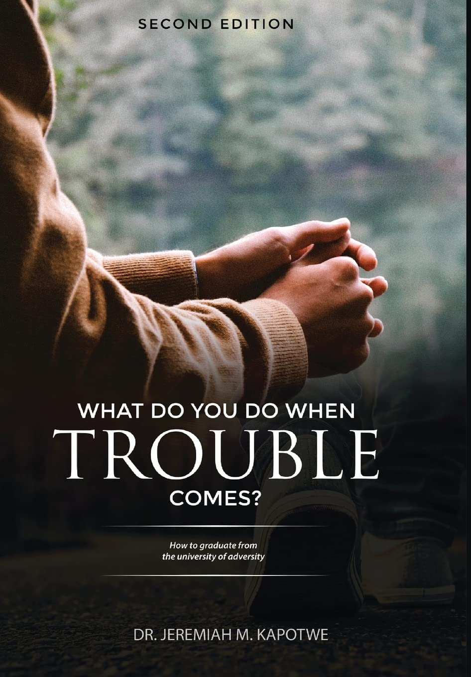 Buy What Do You Do When Trouble Comes? — BookShops.in