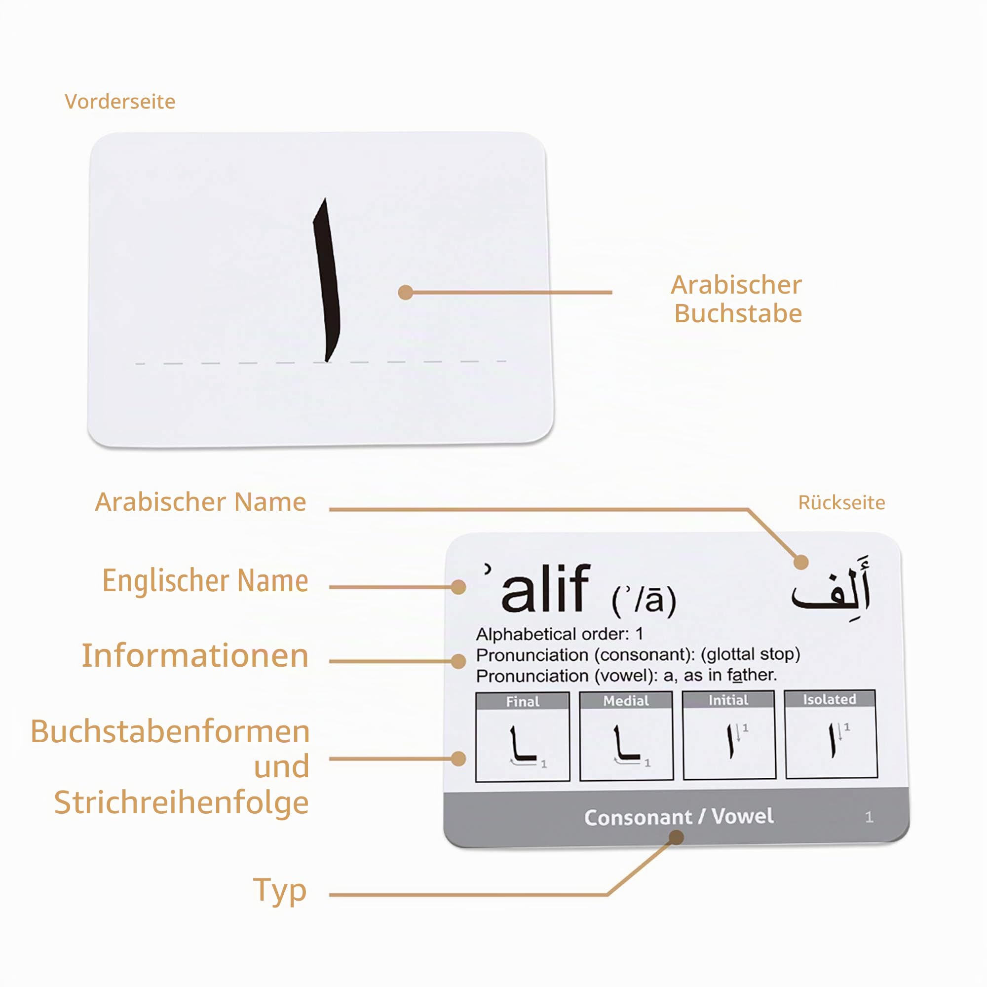 CARDDIA Arabische Alphabet-Lernkarten (inkl. Konsonanten, Vokale, diakritische Zeichen und Ziffern)