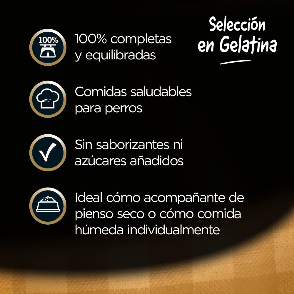 Cesar Comida Húmeda para Perros, Selección Carnes Mixtas en Gelatina, Multipack (13 Packs x 4 Bolsitas x 100g)