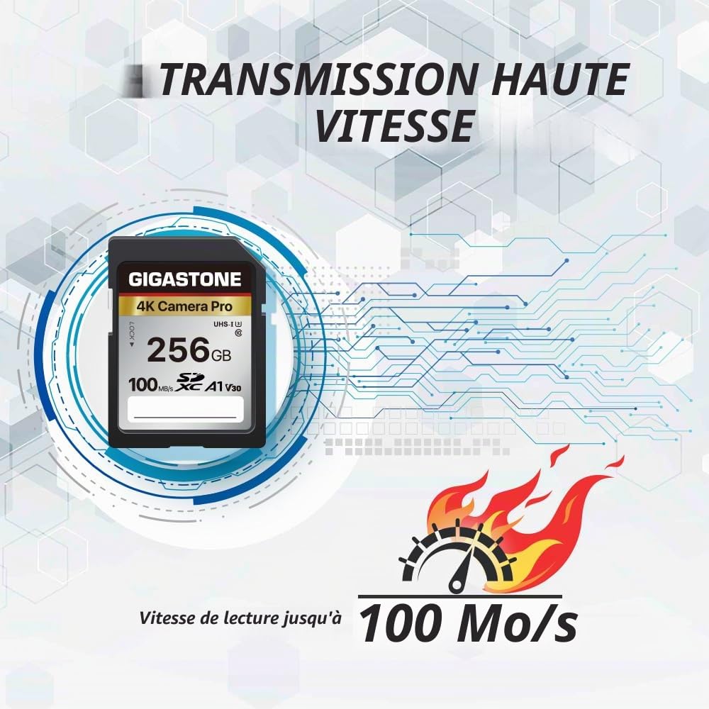 Gigastone Carte Mémoire SDXC 256 Go, 4K Pro Série, Vitesse de Transfert allant jusqu'à 100 Mo/s. Compatible avec Caméra Canon Nikon Sony Caméscope, A1 V30 UHS-I Classe 10 pour 4K UHD Vidéo