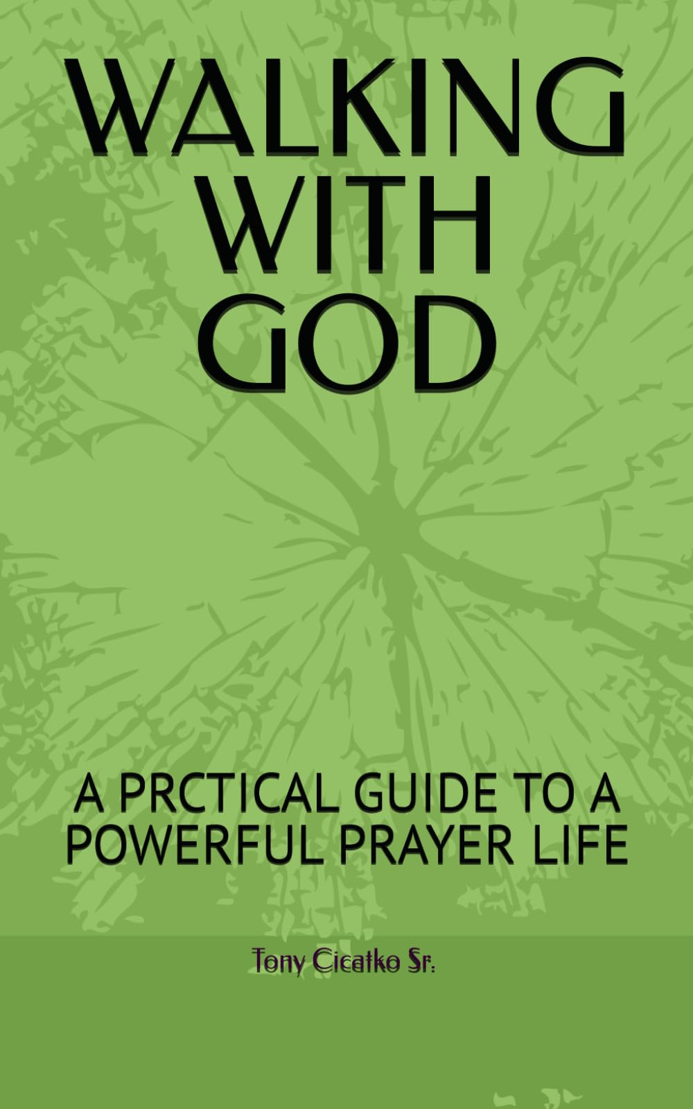 WALKING WITH GOD: A PRCTICAL GUIDE TO A POWERFUL PRAYER LIFE
