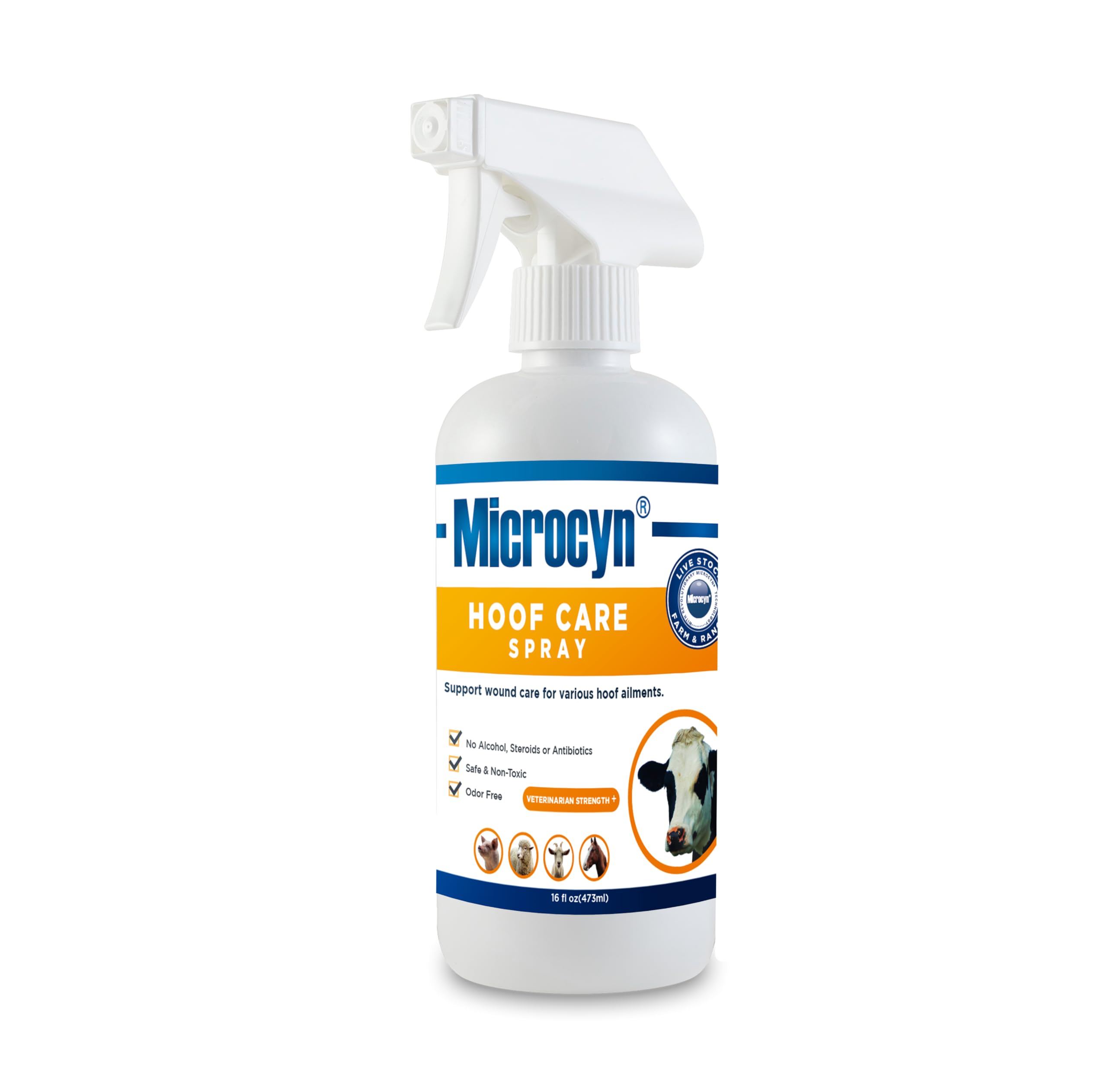 Hoof Care Spray for Livestock – Supports Healthy Hooves and Promotes Natural Hoof Growth – 16 oz