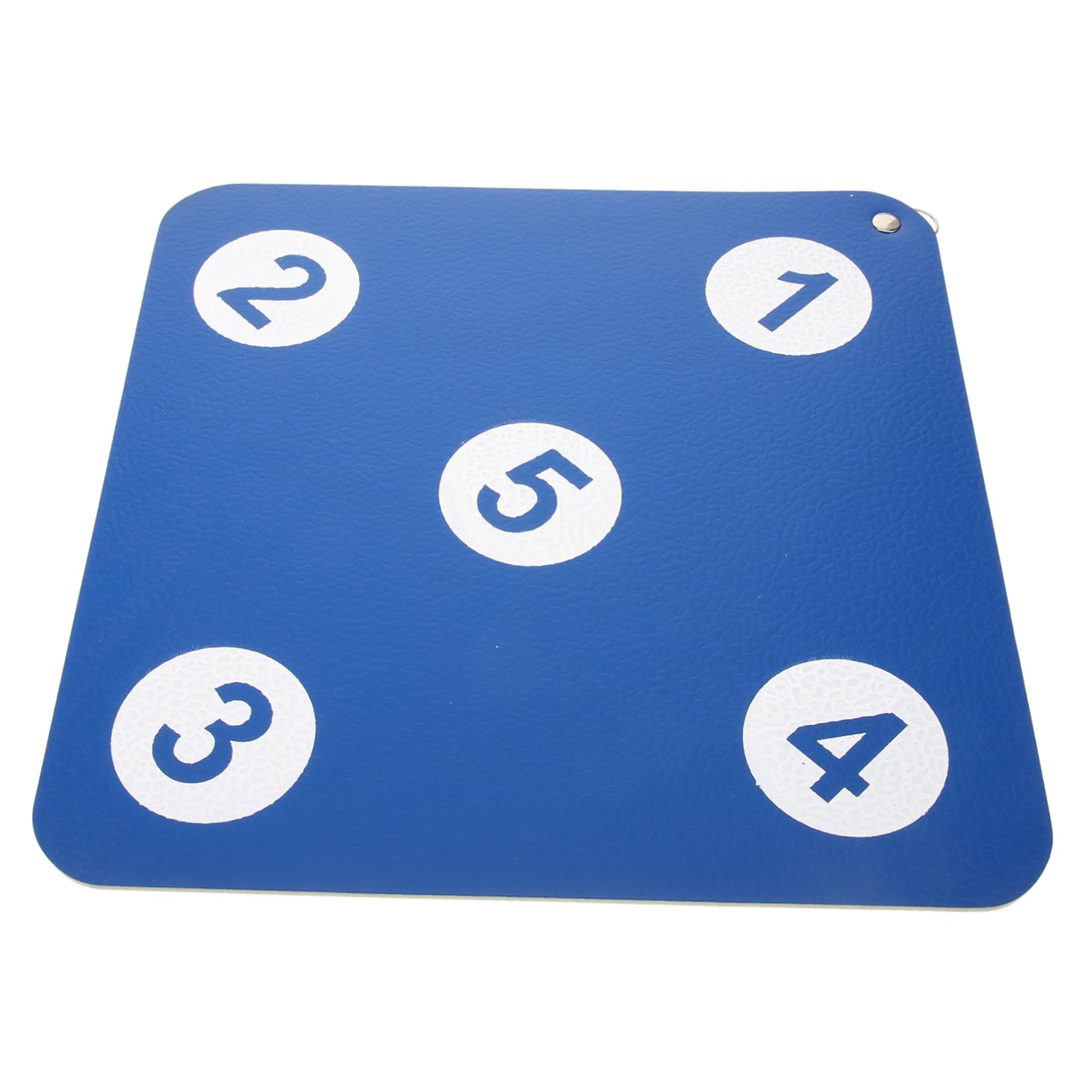 KICHOUSE Fencing Wall Mount Fencing Target Compact Easy Install Training Accessory