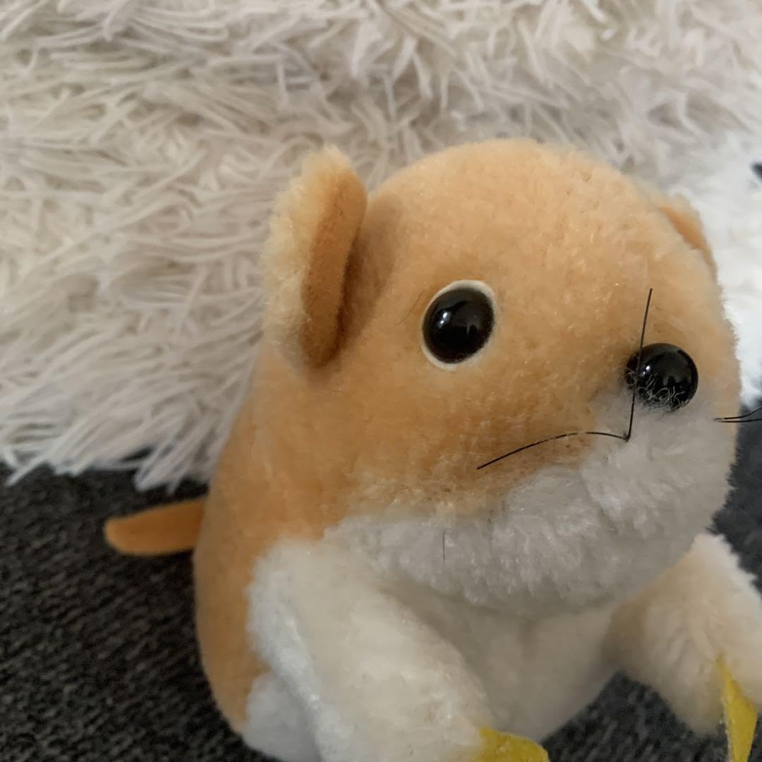 Amazon.co.jp: 南の虹のルーシー モッシュ ぬいぐるみ ポピー