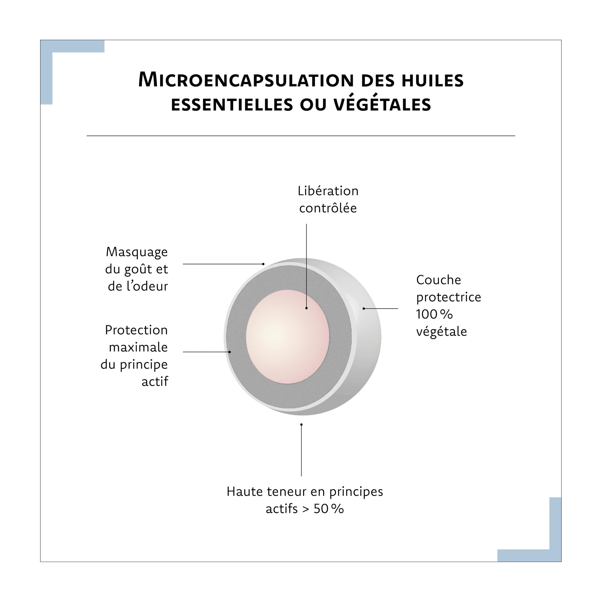 ARAGAN Synactifs Lot de 2 Somactifs - Complément Alimentaire Sommeil Adulte - Mélatonine, Mélisse, Valériane, Huiles essentielles, Magnésium - 60 gélules- 15 jours à 1 mois de prise Fabriqué en France