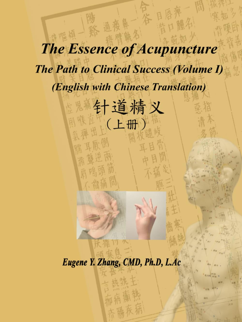 The Essence of Acupuncture - The Path to Clinical Success: Volume I