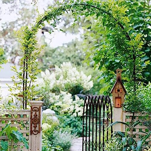 Arche de jardin pour rosiers décorative sur terrasse et patio - 4