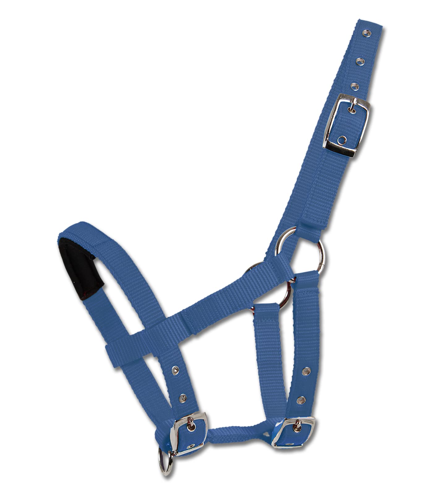 WALDHAUSEN Mini-Shetty Halfter – Azurblau