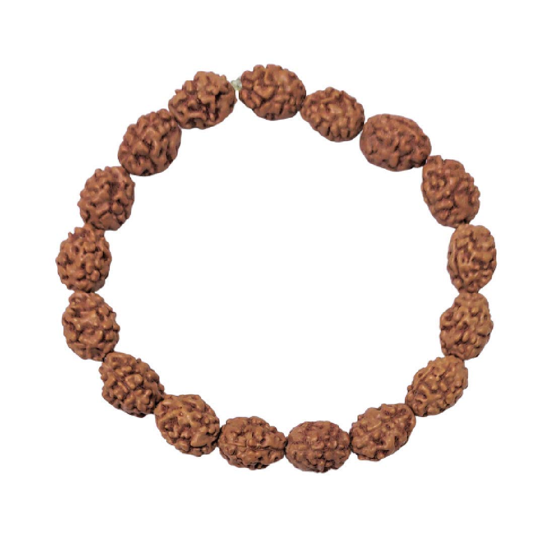 ASTRODIDI unisex-adult 3 Mukhi Rudraksha Java Beads Bracelet (Brown) (B08BC88Q7V) Amazon Price History, Amazon Price Tracker