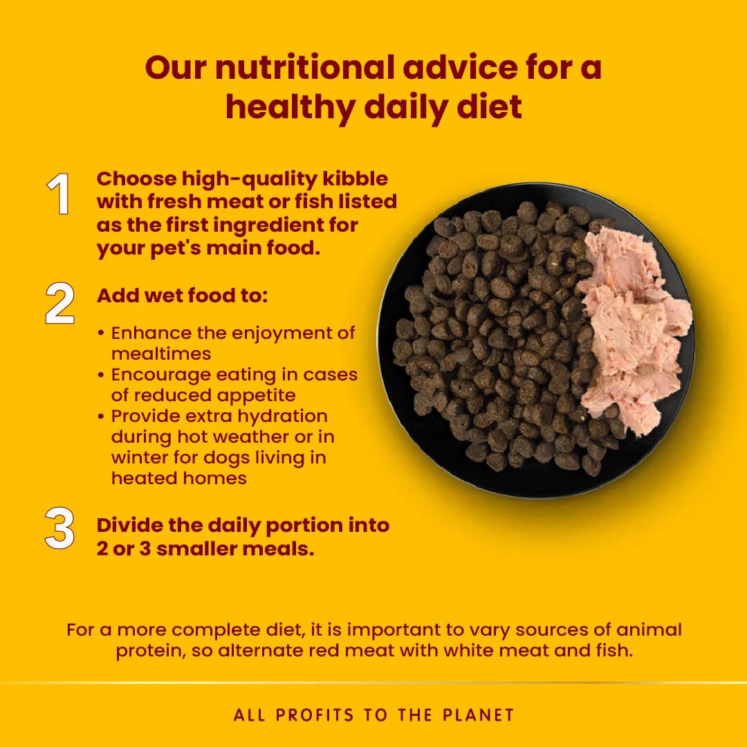 almo Nature Daily Menu Paté di Cane con Pesce Bianco e Riso, 300 g, Confezione da 9