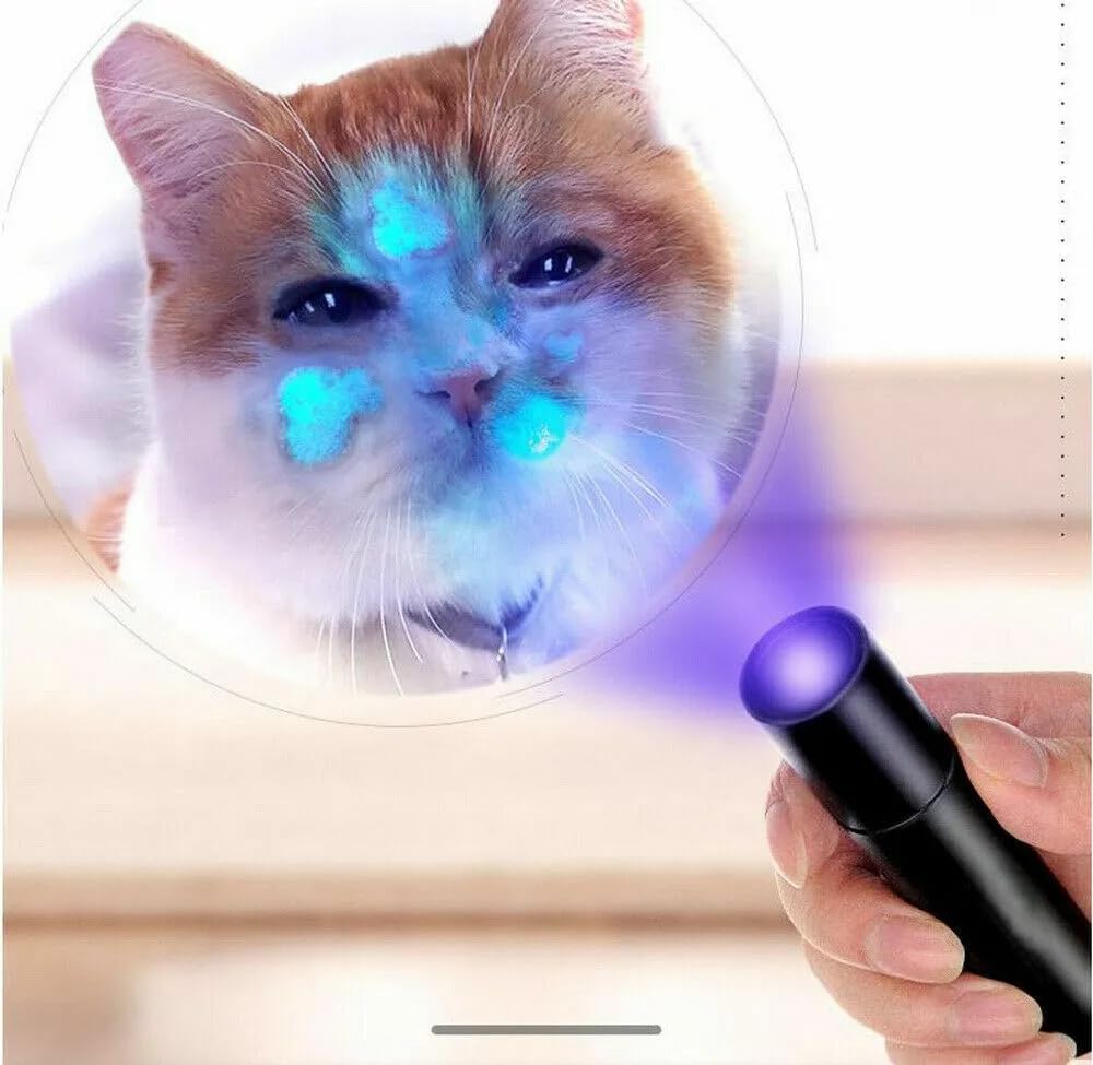 UV 365nm Fungus Test Lamp Light,Riveira Handheld Cat Ringworm Detector lamp, Ultraviolet Light Flashlight Fluorescent Detection Lamp Ringworm Light (Random Color) (B0D4J2L84Q) Amazon Price History, Amazon Price Tracker