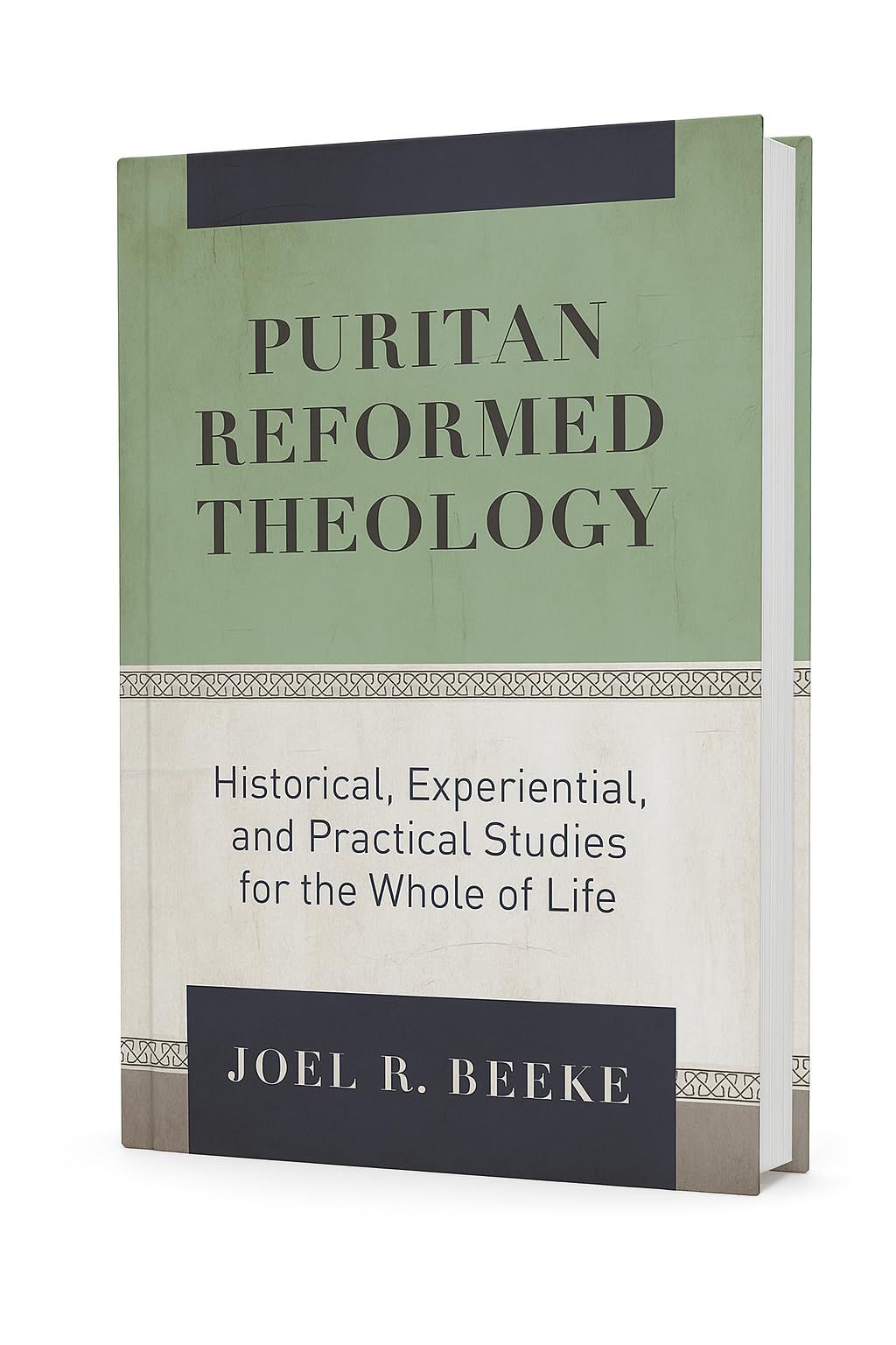 Puritan Reformed Theology: Historical, Experiential, and Practical Studies for the Whole of Life Hardcover – Import, 20 July 2020