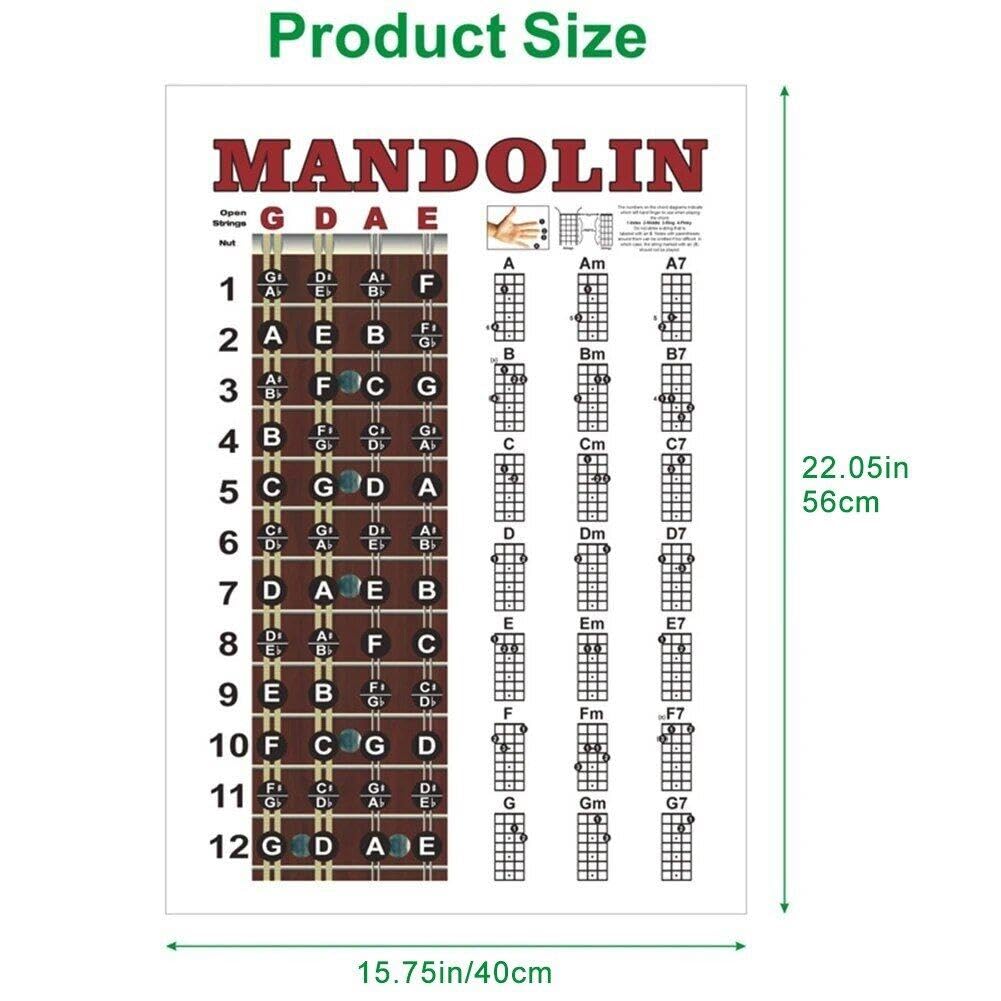 Amazon | マンドリン指図表マンドリンコード表コード練習表