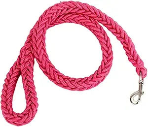 Dog Leash (5)