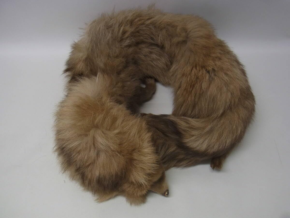 Amazon.co.jp: たぬき リアルファー 襟巻 顔足尻尾つき マフラー ティ  