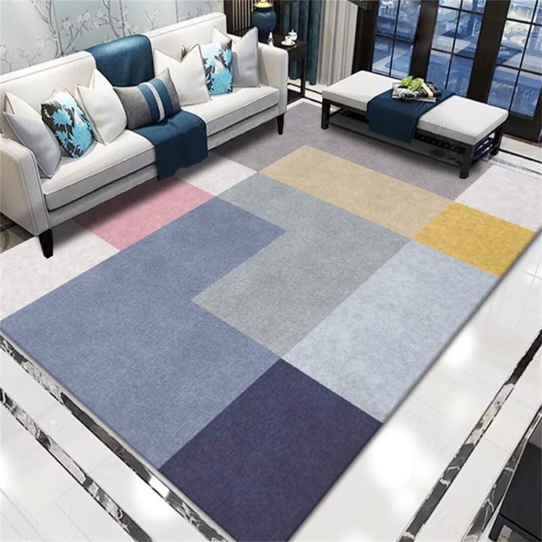 Tapis coloré grand tapis salon avec effet résistant à l'humidité