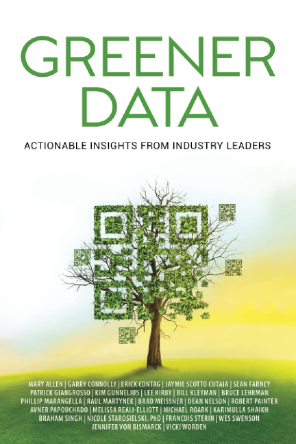 Greener Data: Actionable Insights from Industry Leaders