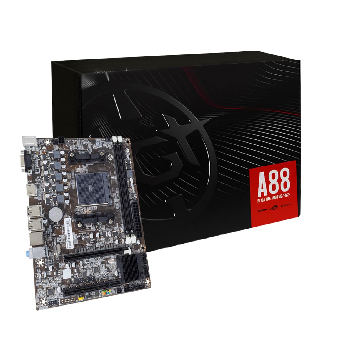 Hydrangea4937　0502 指定07 00nsi.JPG