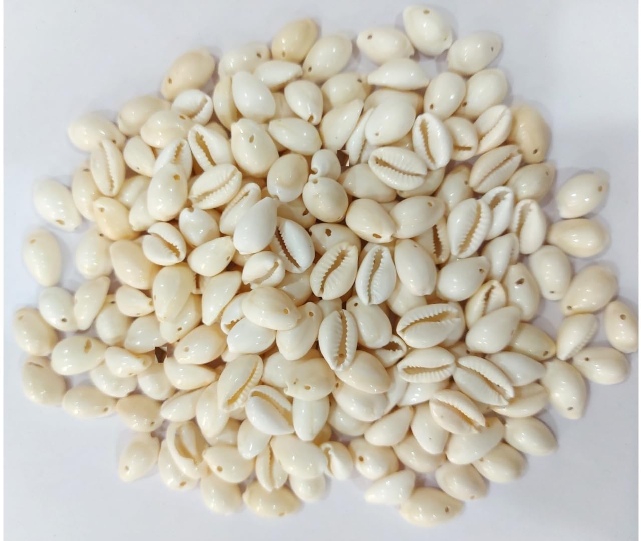 Bhavya Enterprises Natural White sea Shell/Kowrie/Kodi for Craft, Jewelry, Bracelet, Rakhi, Embroidery Work (100 Piece)-picture-18