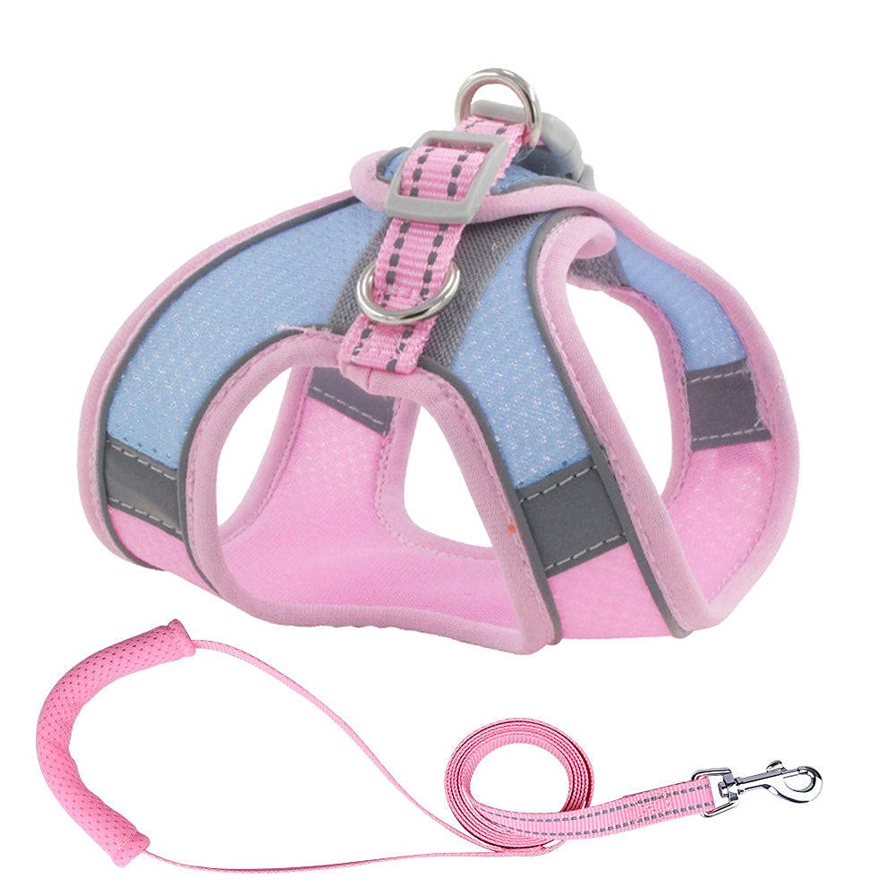 arnés para Perros, Conjunto de Correa, arnés Malla for Cachorros, Acolchada Suave for Perros pequeños, Gatos, Chaleco, Accesorios for DS(G,S)
