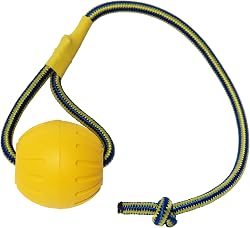 MMSGA Balle pour Chien avec Corde, Balle de Dressage pour…