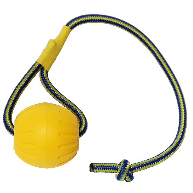Pelota para Perro con Cuerda, Bola de Entrenamiento para Perros de Espuma, Bola Flotante para Perros