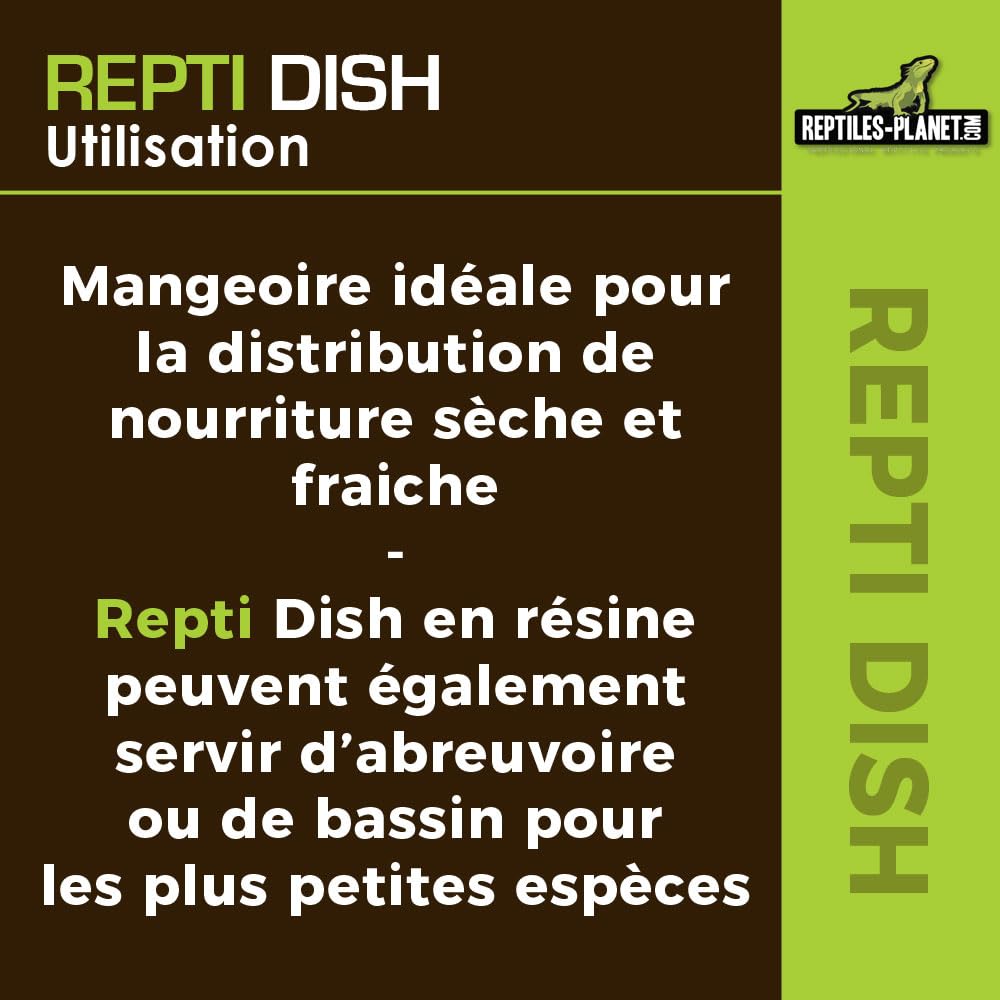Reptiles Planet Repti Dish Deep M Gamelle pour Reptiles 12 x 11,5 x 8 cm