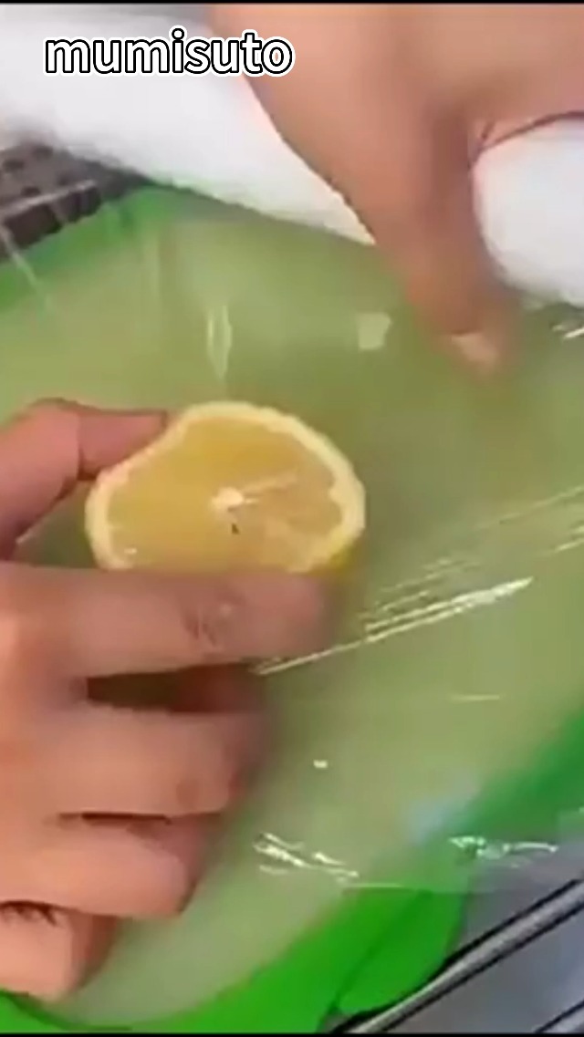 HMIEPRS 6 Recipientes De Almacenamiento De Frutas Y Verduras, Conservador De Almacenamiento