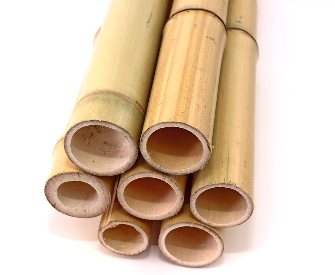 20er Set Bambusrohre 300cm mit 3,5-4,5cm Durchmesser gelblich gebleicht -  Bambusstangen Moso Bambusstbe 3m lang : Amazon.de: Garten