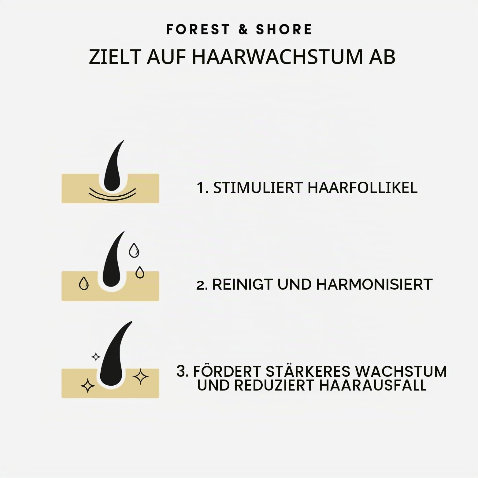 Forest & Shore Shampoo und Conditioner Set für Haarwachstum – Rosmarin Shampoo gegen Haarausfall mit Biotin, Koffein & Baicapil – 98% Natürlich, Sulfatfrei & ohne Silikone – Für Damen & Herren – 500ml