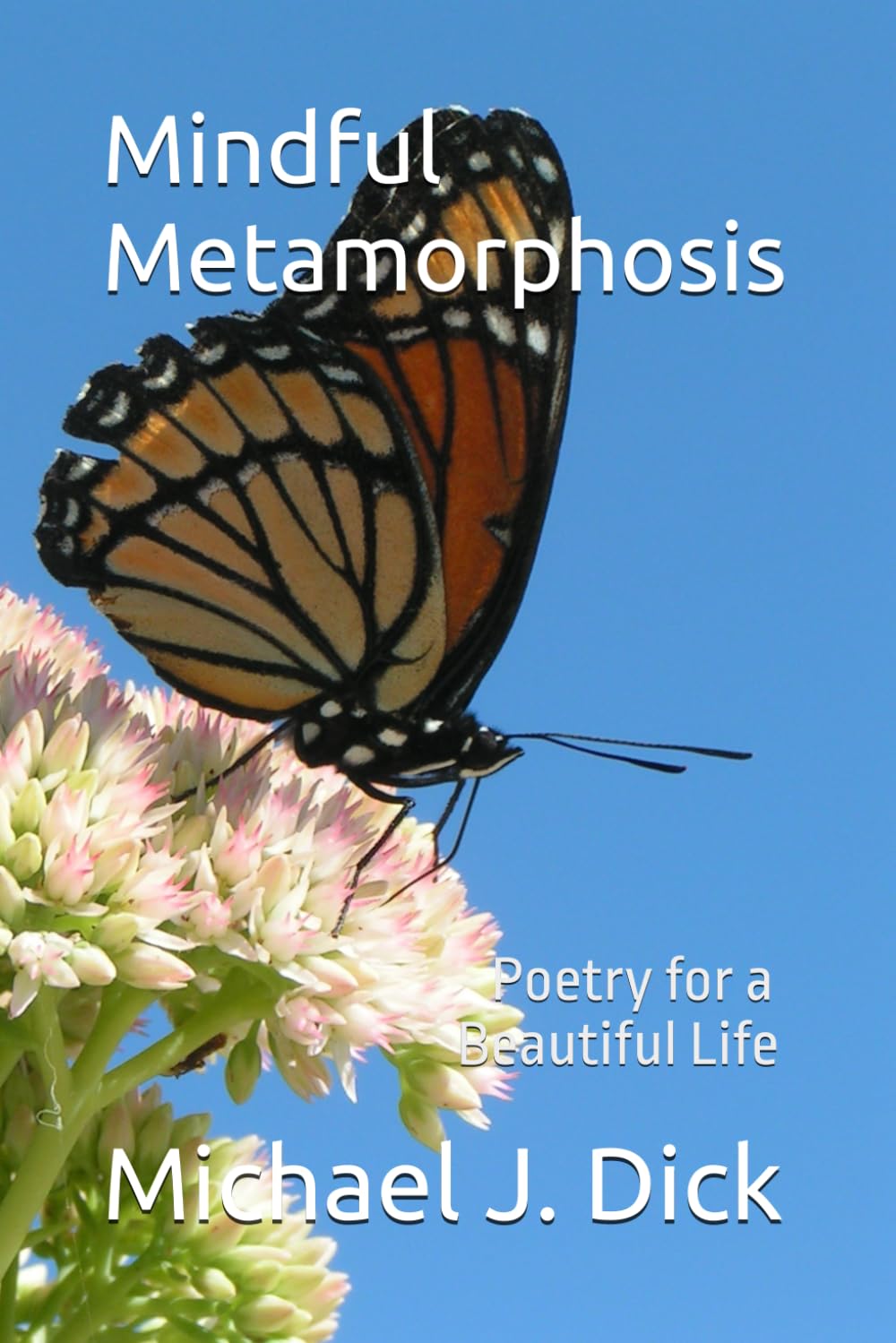Mindful Metamorphosis: Poetry for a Beautiful Life
