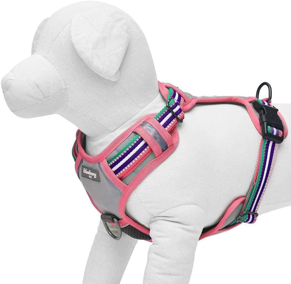 Blueberry Pet Comfy 3M Reflective Multi-colored Stripe Mesh Padded No Pull Dog Harness Vest with Front/Back Leash Clips, Medium, Pink, Emerald & Orchid - Image 5