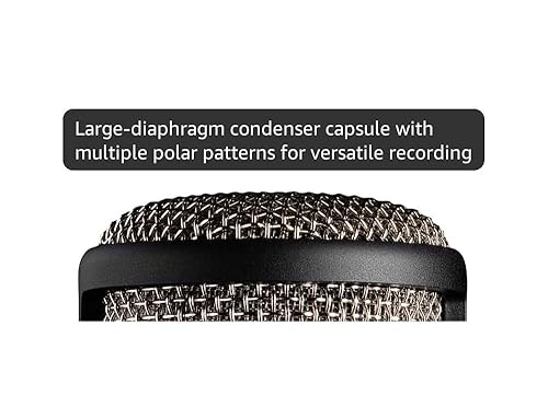 Amazon.com: AKG Pro Audio P420 Multi-Pattern Condenser Microphone