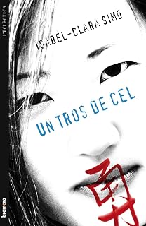 Un Tros de Cel