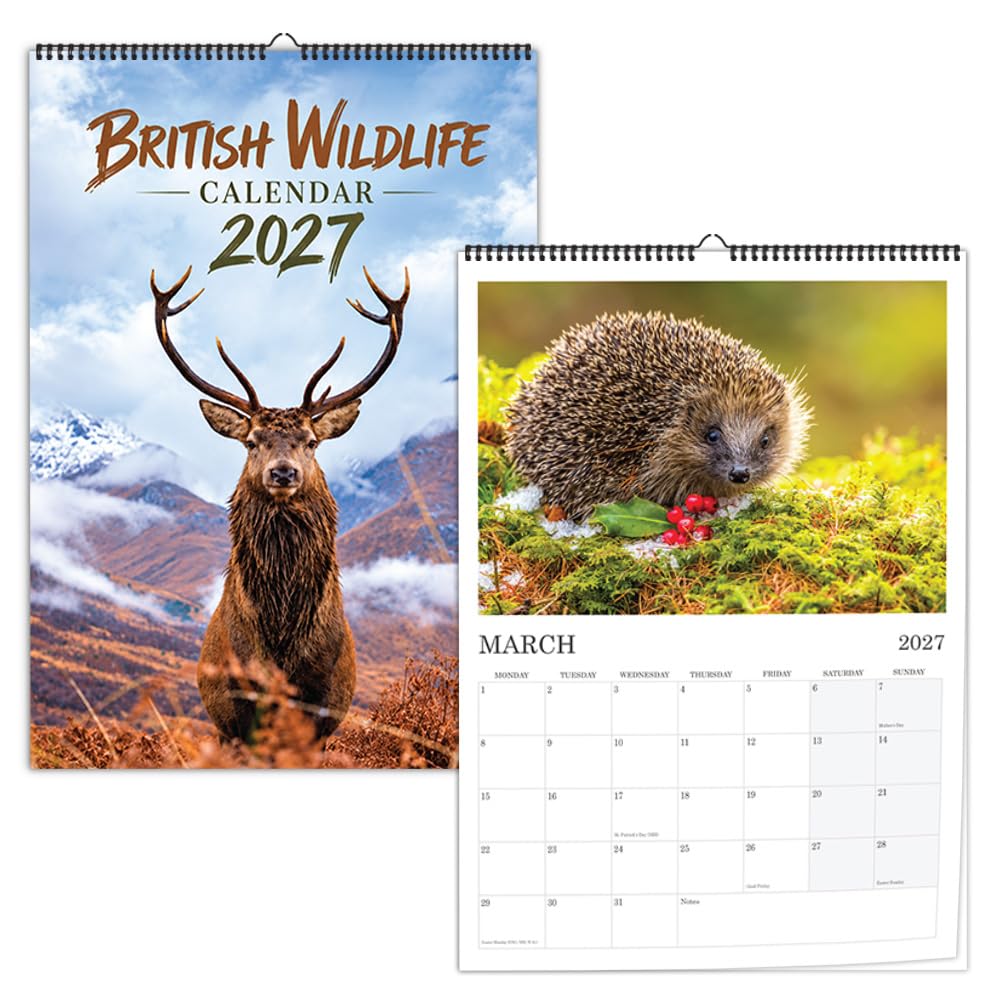 2027 Wall Calendar Month to View Spiral Bound British Wildlife โ image 1