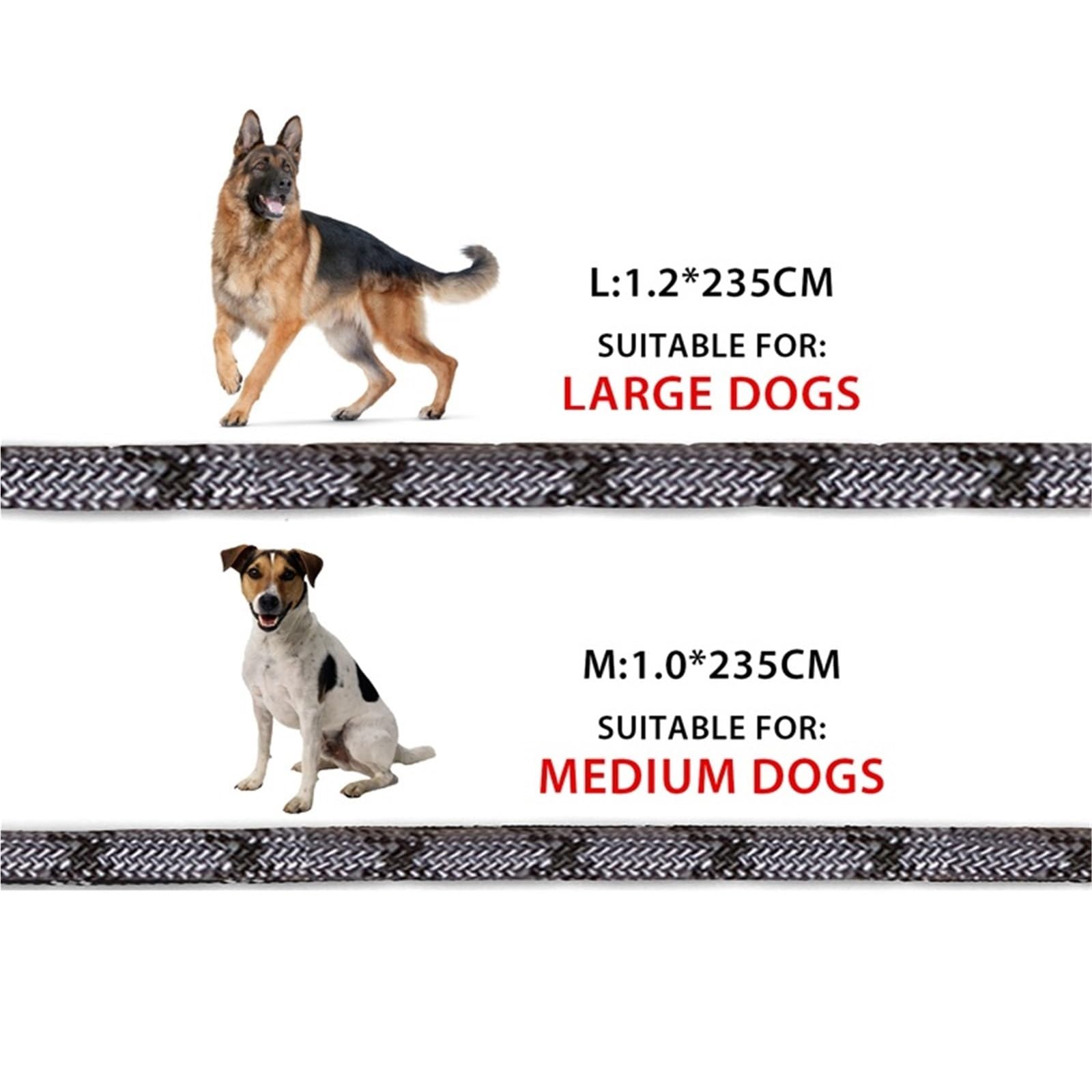 Laisse en Nylon for Chien de Compagnie, Corde de Traction for Courir, Mains Libres, for Petits, Moyens et Grands Chiens pour Ceinture, Running(Orange,L 1.2x235cm)