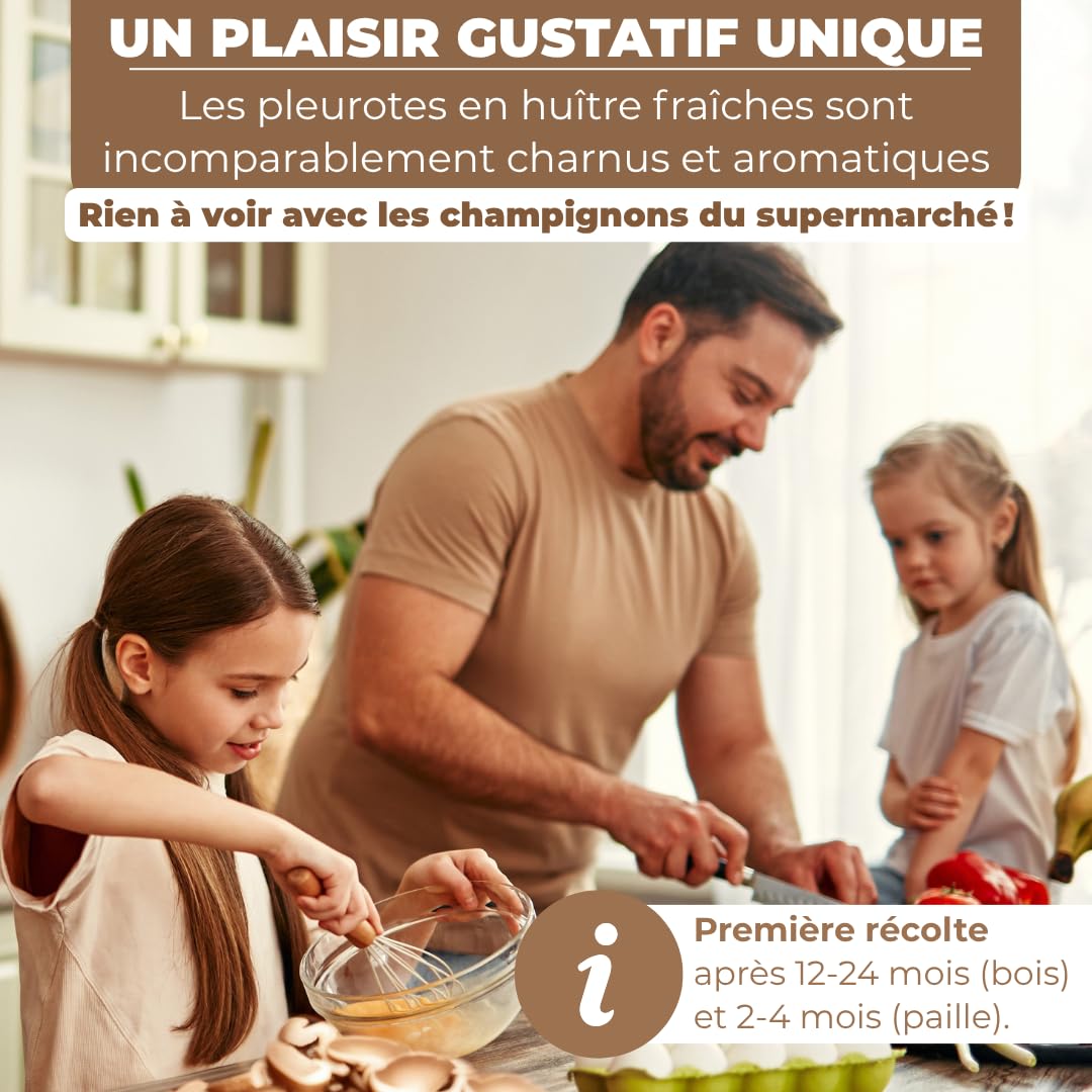 Hawlik Pilzbrut - Cheville Pleurotes en huître pour cultiver soi-même - 20 cheville avec mycélium de champignon