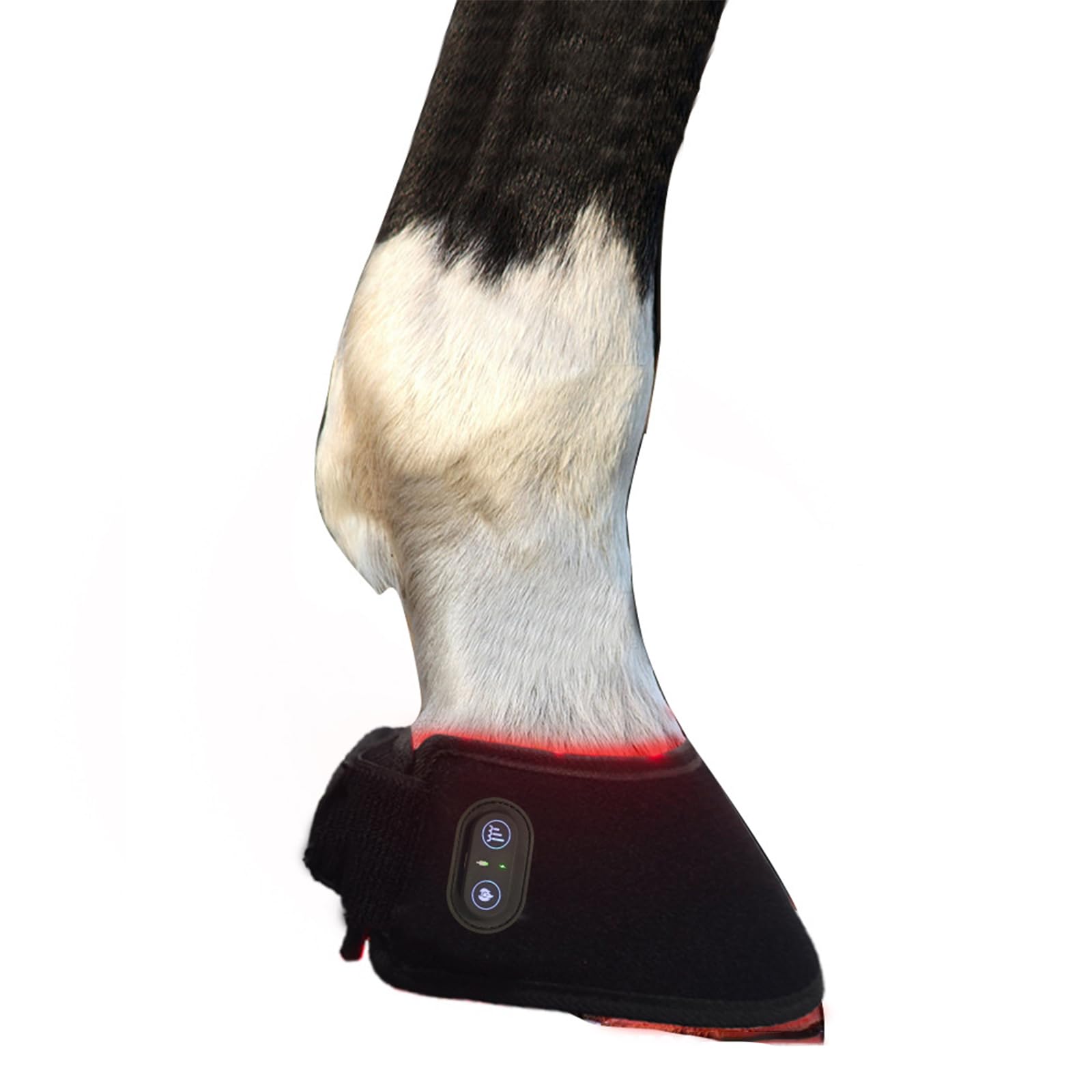 GOURIXIN Terapia de luz roja para caballos, envoltura infrarroja equina de 660 nm 850 nm para alivio del dolor de pezuña, rodilla y corvejón, temporizador de 20 minutos, recargable de 3000 mAh