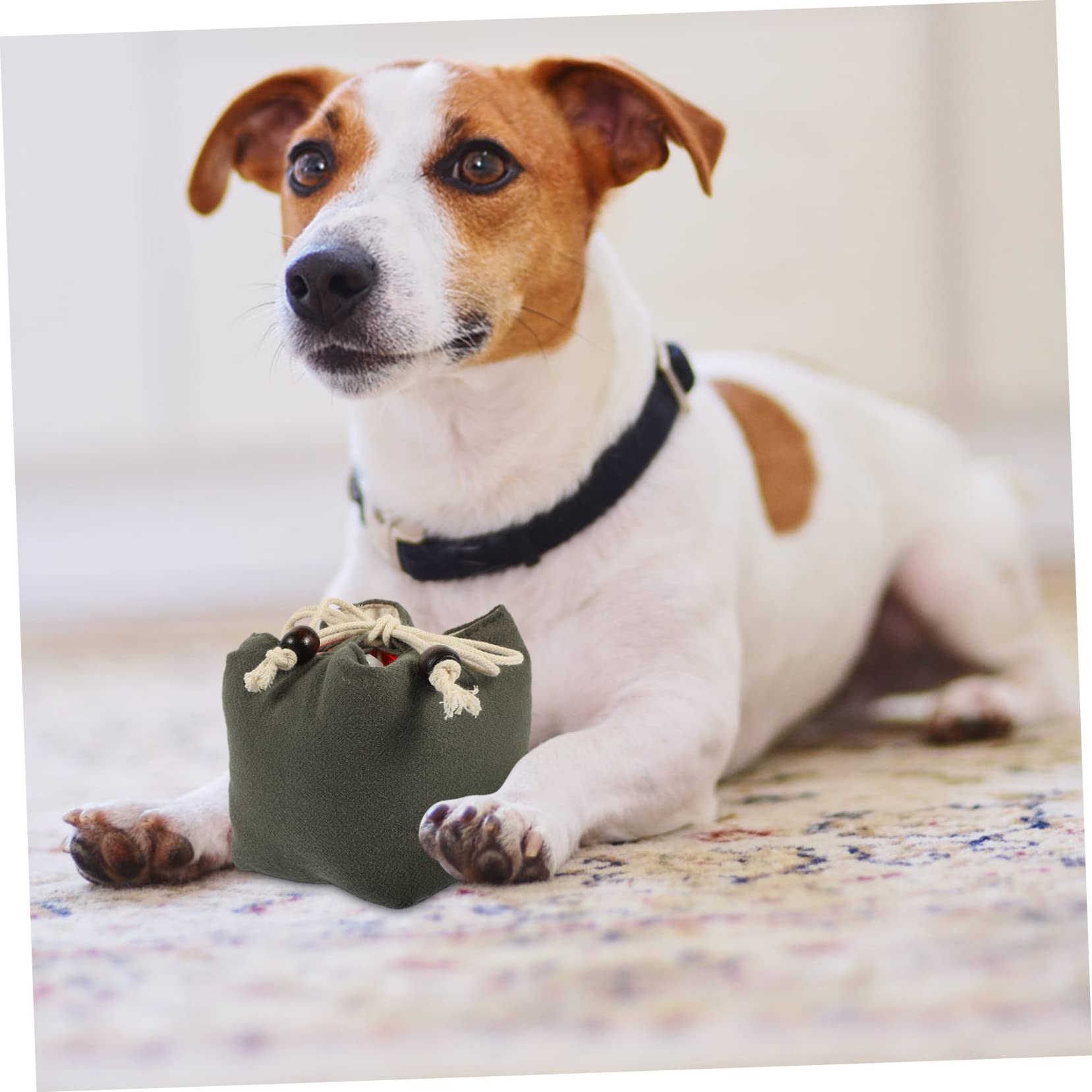 minkissy 5pièces Pochette De Friandises pour Chien Entraînement Et Pratique Rangement Facile pour Récompenses Lors des Et Séances Éducation