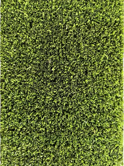 REVTURF Cricket Turf Sample - This is for Sample Purpose Only (B0CBV2XHXR) Amazon Price History, Amazon Price Tracker