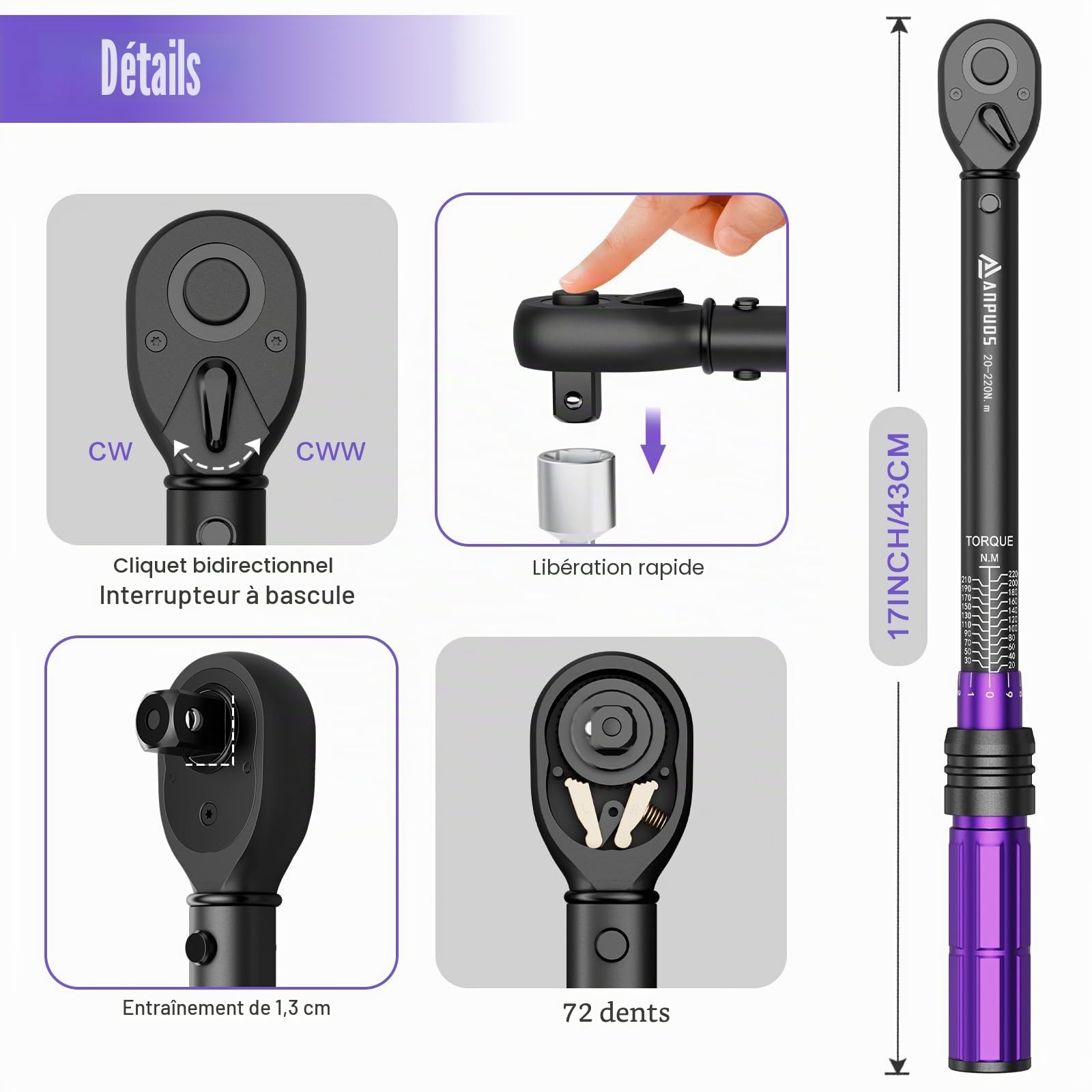 ANPUDS Clé dynamométrique 1/2" 20-220 Nm 72 Dents Tête à Cliquet Réversible Précision ±3%