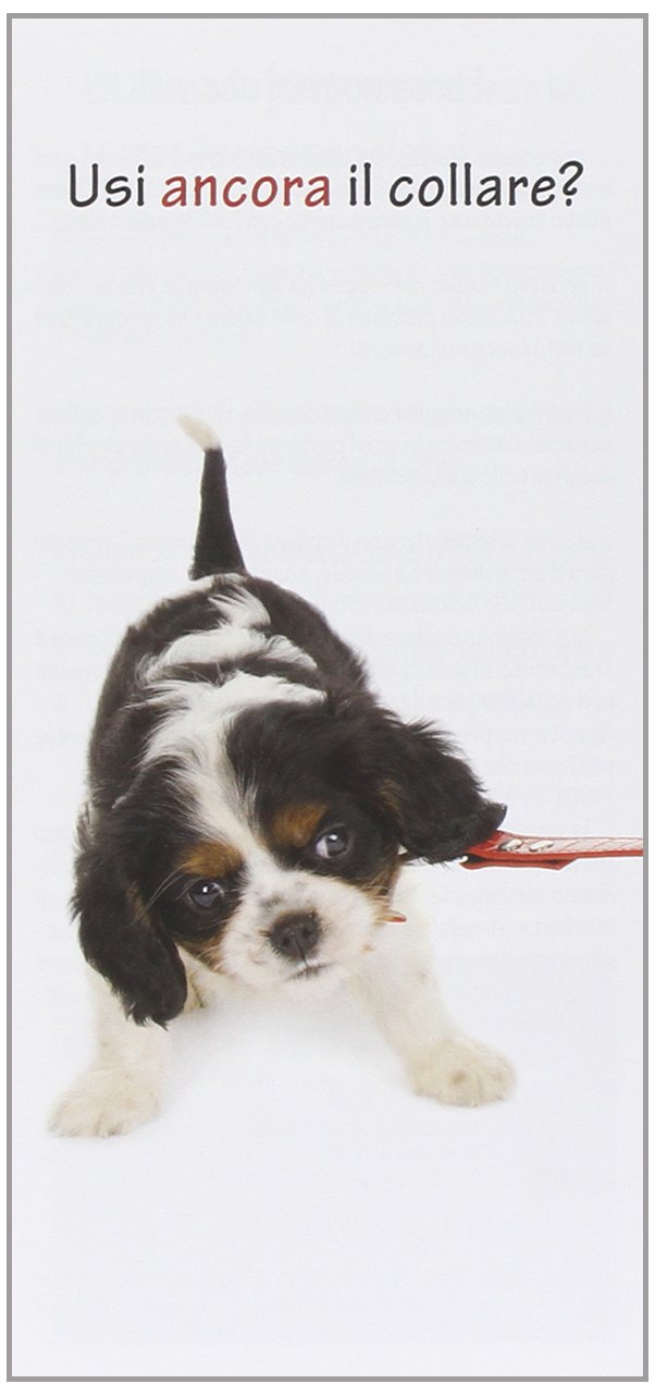 Il ttouch per il cane. Con DVD