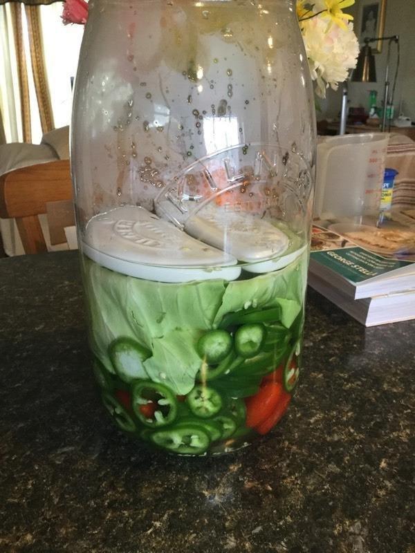 Super simple fermentation so far