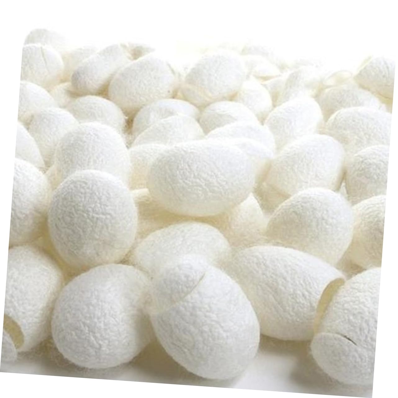 Beavorty Limpiador Facial 600 Piezas Capullos De Seda Natural De Maquillaje Exfoliante Natural De Gusanos De Seda Frotar Los Dedos Con Gusanos De Seda Faciales A7 Constituir