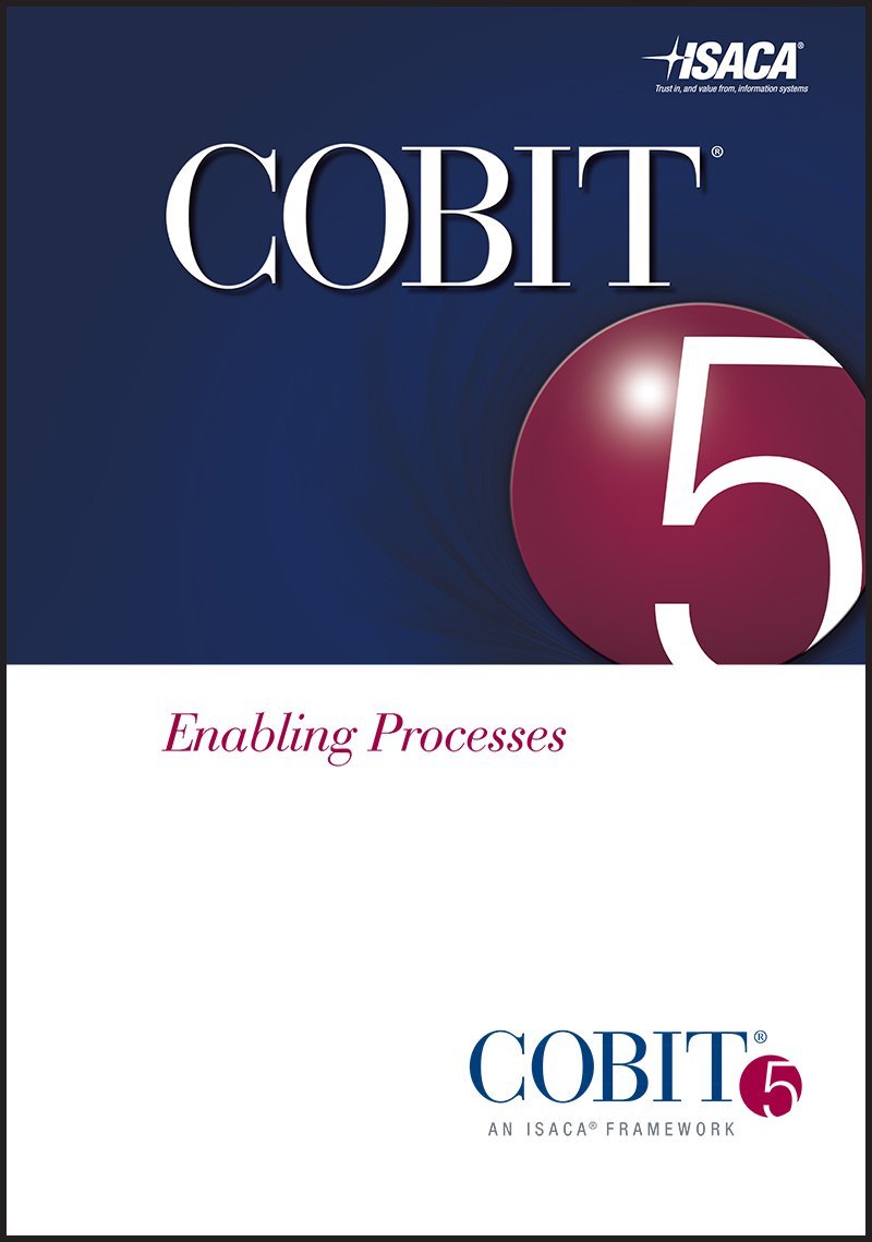 Buy COBIT 5: Enabling Processes — BookShops.in